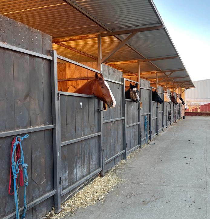 Caballos estabulados en nuestros boxes de exterior